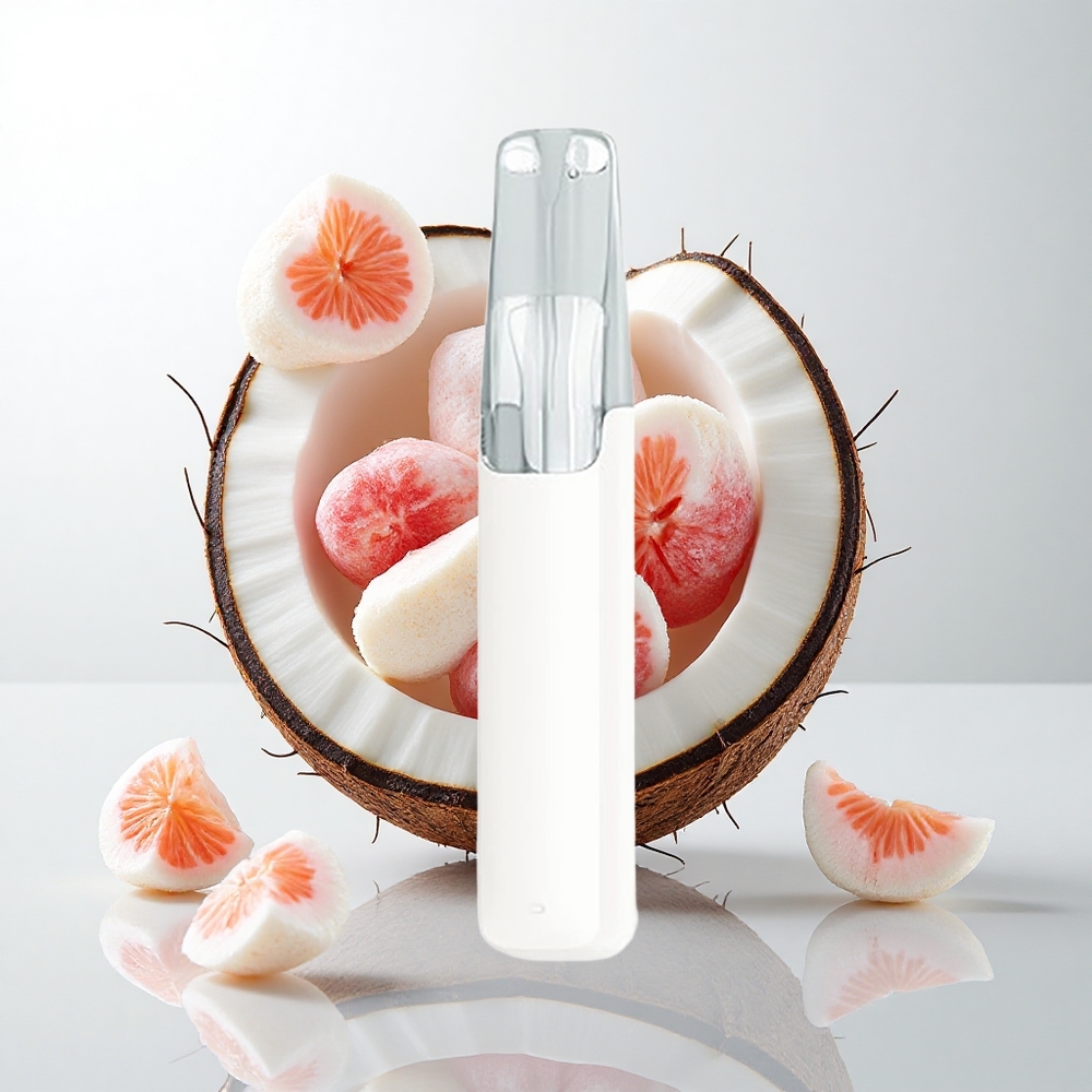 Snowplus Dash 4000 Puffs Engangsenhed med Ceramic Atomizer og Kokosvand