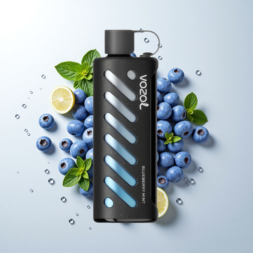 VOZOL Gear Shisha 25000 Puffs Blåbær Mynte med 30 Lækre Smage og 1000mAh Batteri