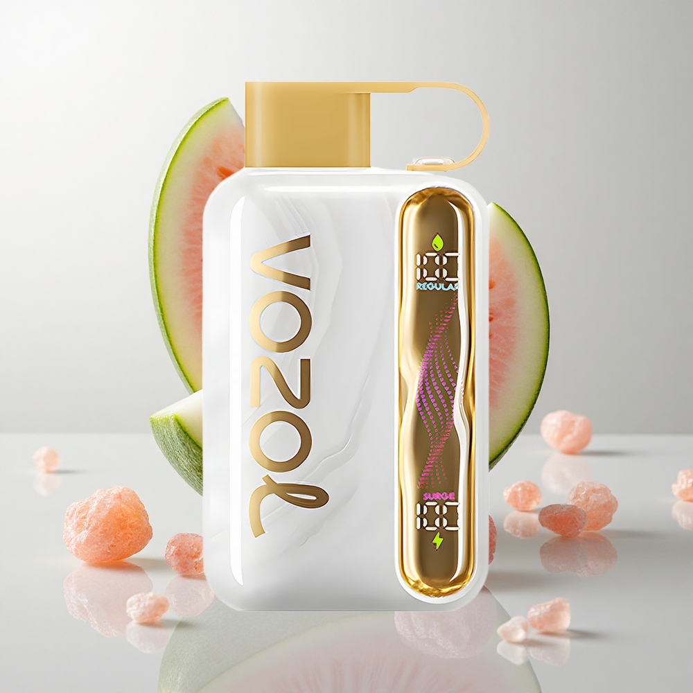 VOZOL STAR 40000 Puffs Engangs E-Cigaret Type-C Ladning Melon Tyggummi