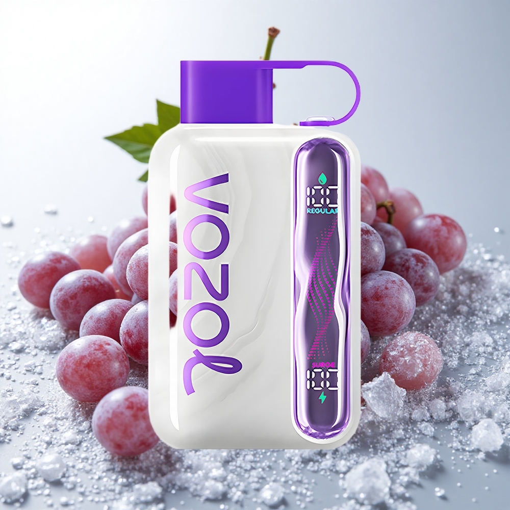 VOZOL STAR 40000 Puffs Engangs Vape Druer Is med 1000mAh Batteri og Type-C Opladning