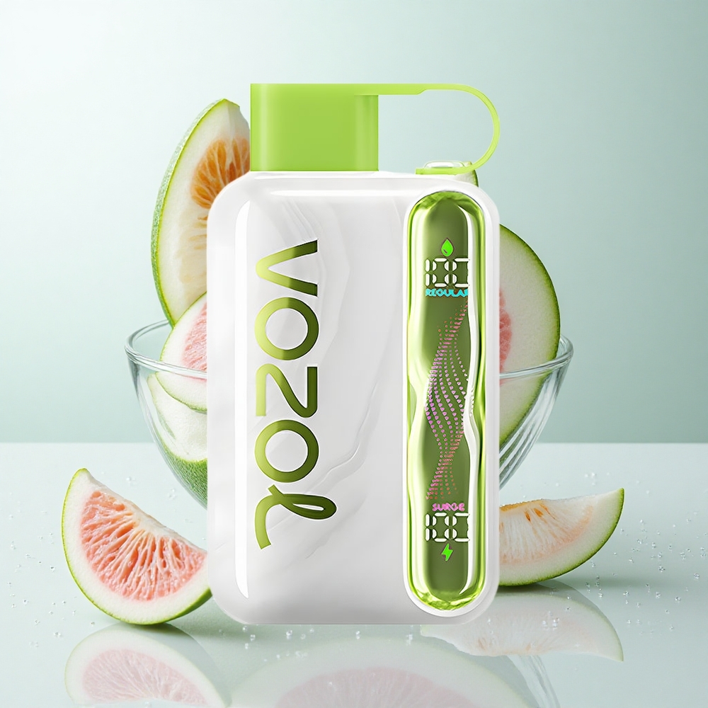 VOZOL STAR 40000 Puffs Engangs Vape Kølig Mynte med 1000mAh Batteri og Type-C Opladning