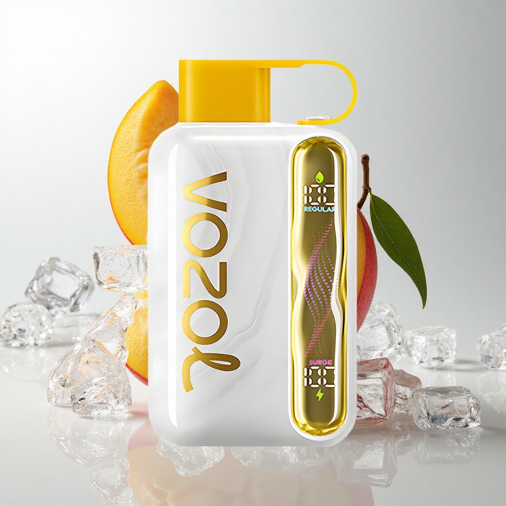 VOZOL STAR 40000 Puffs Engangs Vape Mango Is med 1000mAh Batteri og Type-C Opladning