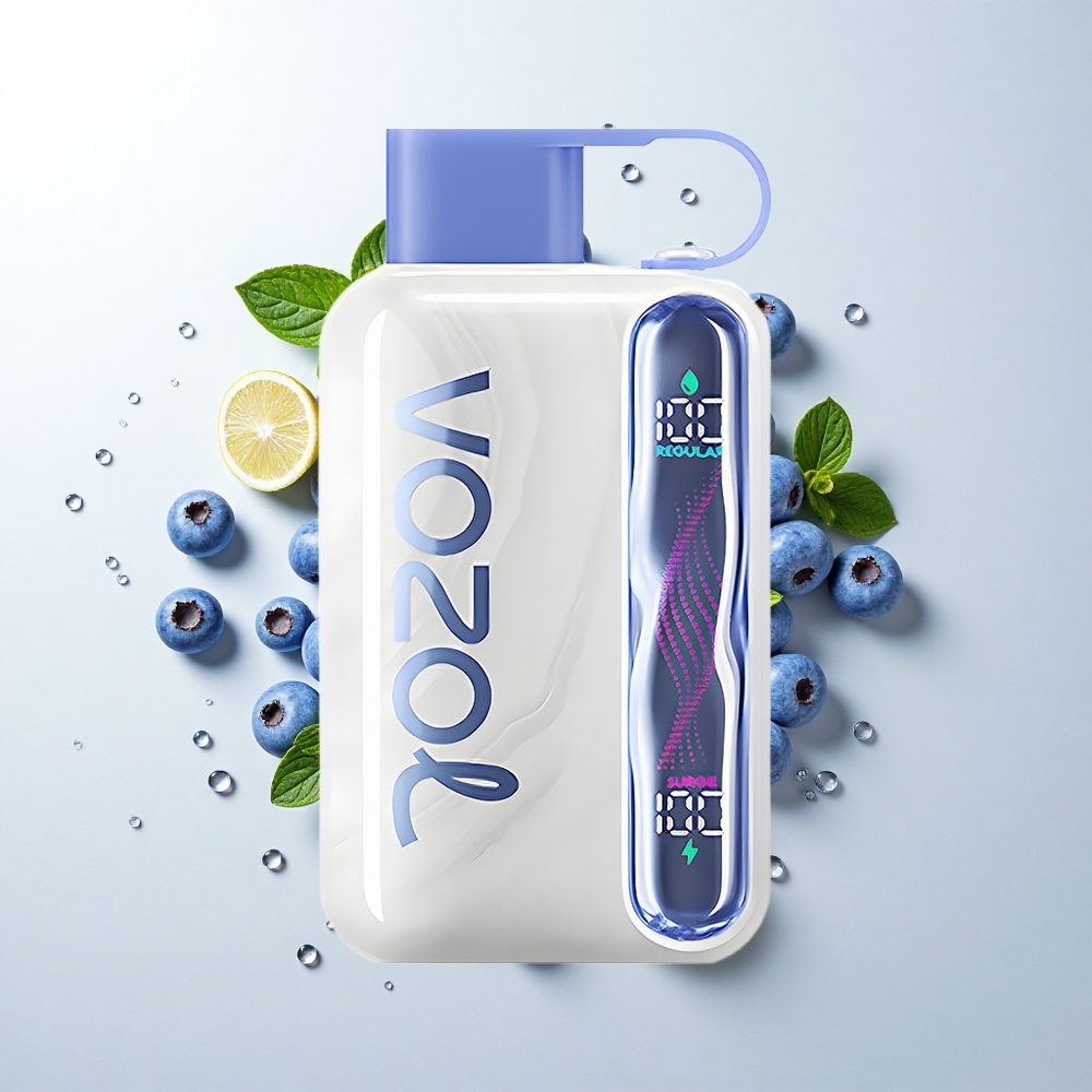VOZOL STAR 40000 Puffs Engangsvape Blåbær Mynte med 1000mAh Batteri og Type-C Opladning