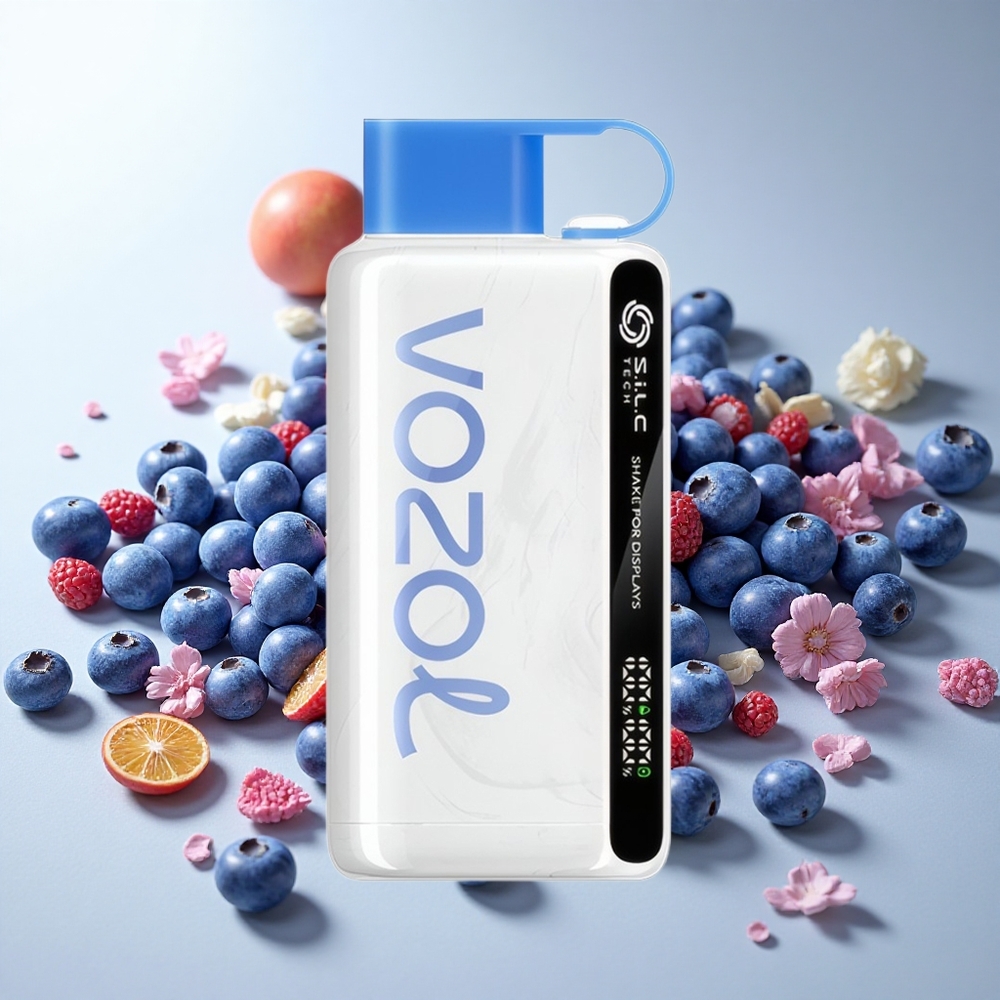 VOZOL STAR 9000/12000 Engangs-vape Blåbær Storm med 30% hurtigere opladning og 650mAh batterikapacitet